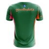 Maglia PSV Eindhoven Portiere 2025-26 Verde